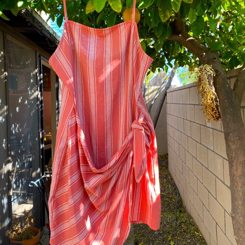 F21 Dress🌷